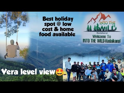 Into the Wild Resort in Kodaikanal | Highest Peak Resort at Kodaikanal | Resort video - Room Tour