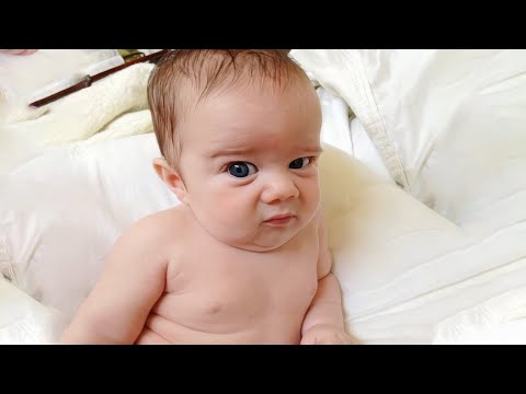 Funny Baby Videos - The Cutest Moments You'll See Today