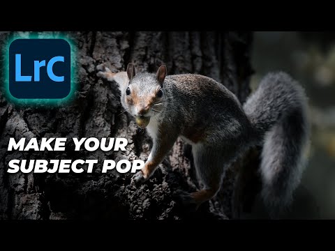 The TWO BEST WAYS to Make Your Subject Pop in Lightroom | Tutorial Tuesday