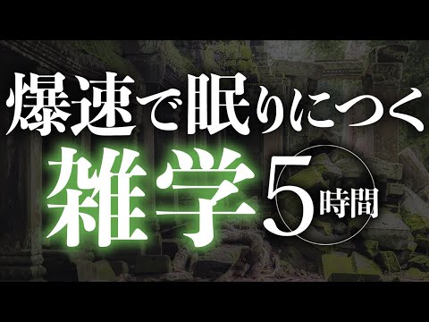 【睡眠導入】爆速で眠りにつく雑学5時間【合成音声】