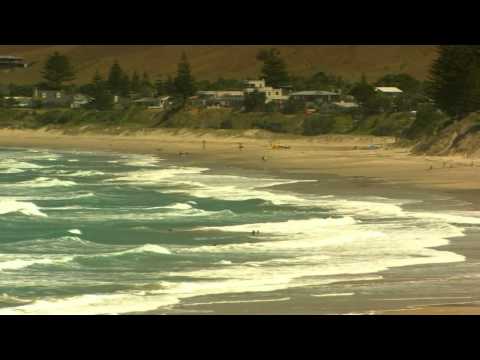 Pacific Coast Highway |Namaste New Zealand