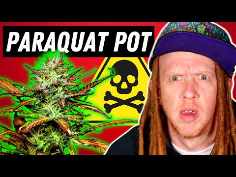 ☠️How The US Government Secretly Made Killer Poison Weed