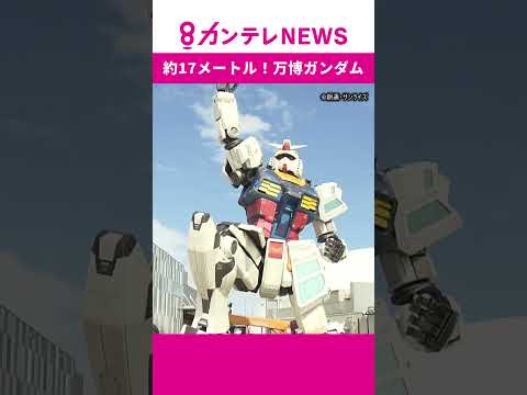 【くるぞ、万博】実物大ガンダム 頭部ドッキング【上頭式】　2024年10月23日撮影