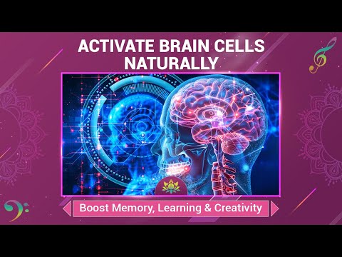 Activate Brain Cells Naturally - Enhance Neuroplasticity -Boost Memory, Learning & Creativity - 40Hz