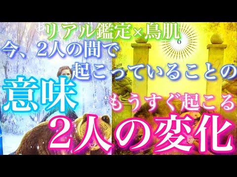 💕リアル過ぎて鳥肌🍁今、2人の間で起こっていることの意味、もうすぐ起こる2人の変化🦋