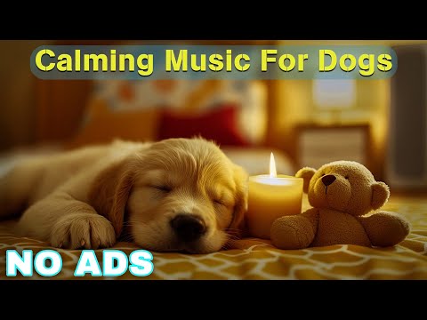 12 Hours of Dog Calming Music for Dogs 🎵 Dog Sleep Music 🐶 Separation Anxiety Relief Music ⭐No Ads