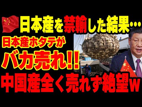 【海外の反応】「もう中国産は買わないよw」中国が輸入禁止にした結果…日本産ホタテが爆売れする理由【グレートJAPANちゃんねる】