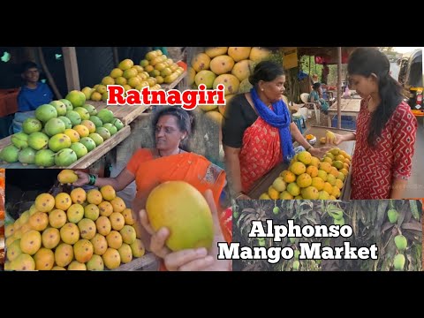 #vlogRatnagiri Alphonso Mango Market 2023|| फिर से चलते हैं हथखंबा || रत्नागिरी हापुस आम बाज़ार