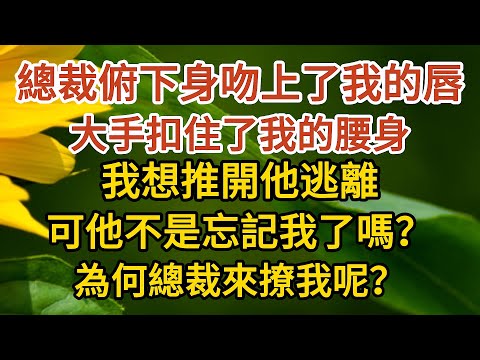 《闪婚总裁》第07集：總裁俯下身吻上了我的唇，大手扣住了我的腰身，我想推開他逃離，可他不是忘記我了嗎？為何總裁來撩我呢？#戀愛#婚姻#情感 #愛情#甜寵#故事#小說#霸總