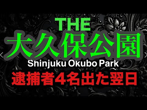 逮捕者4人出た翌日の大久保公園を取材報道「東京夜散歩」