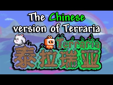 Chinese Terraria: What you never knew about it