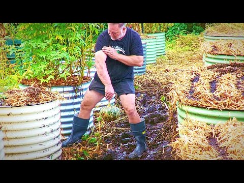 Veggie Garden DISASTER | I Can’t Keep Growing Like This!