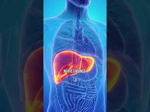 Diagnosis Of Fatty Liver