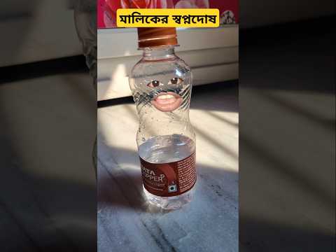 মালিকের স্বপ্নদোষ #funny #stupidfamily #viral #comedy #shorts #food