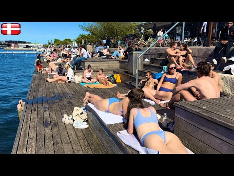 🇩🇰 Islands Brygge Harbor Beach, May 2024, 4K Beach Walk, Copenhagen Denmark