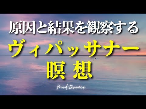 【ストレス低減】ヴィパッサナー瞑想 観察の瞑想 物事の原因と結果を観察する マインドフルネス瞑想