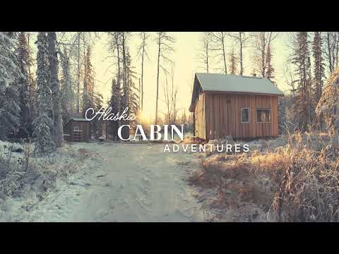 Alaska Cabin Adventures Live Stream