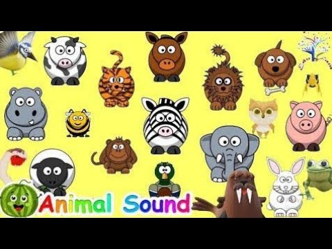 Animal Sounds Song | Kids Dongs and Nursery Rhymes | Kids TV