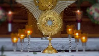 Perpetual Adoration Live | Eucharistic Adoration Live (24/7)