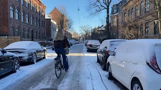 Copenhagen keeps cycling despite heavy snow | AFP