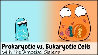 Prokaryotic vs. Eukaryotic Cells (Updated)