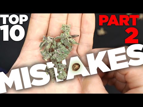 Top 10 Mistakes New Growers Make & How to Avoid Them - Part 2