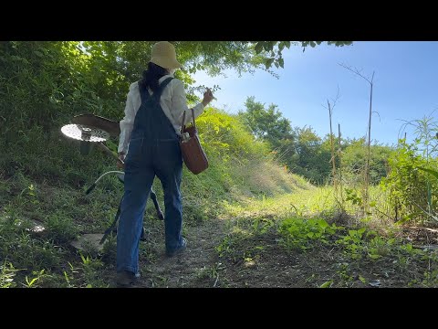 selling No-Dig vegetables / devote yourself to what you love to do