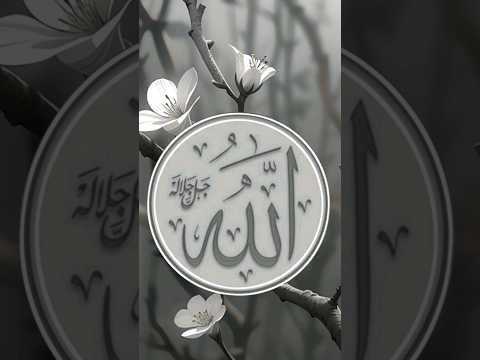 muhammad allah name islamist  short video viral dp plezz subscrine.kara