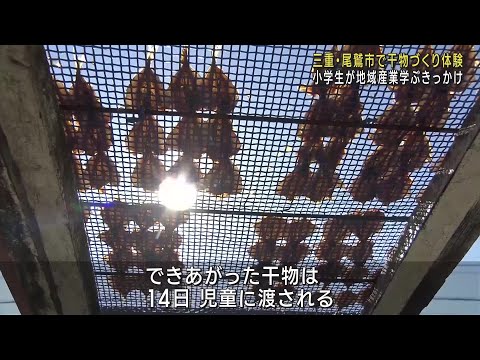 小学生がアジの干物づくりを体験　地域産業を学ぶ目的で　三重県尾鷲市 (24/11/13 21:57)