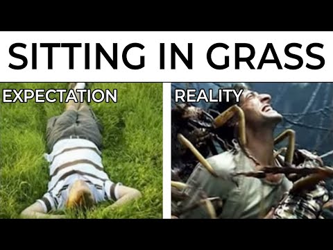 Expectation Vs Reality Memes