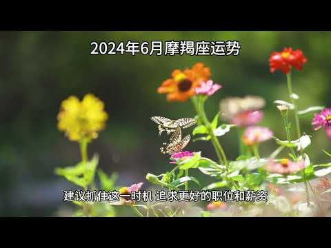 2024年6月摩羯座运势：情感温馨与职业机会