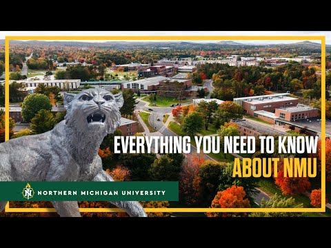 Everything You Need to Know about NMU 😼