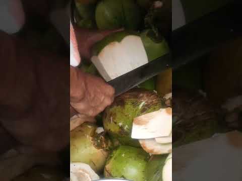 super amazing coconut cutting skills Asmr #cuttingskills #streetfood #youtubeshorts @GatchieJr33