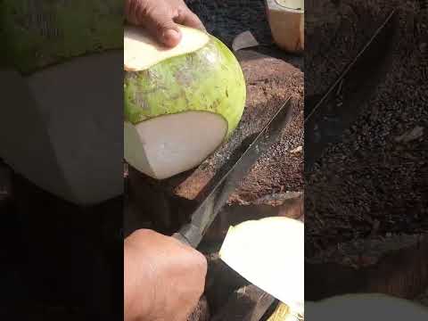 fantastic coconut peeling Asmr #satisfying #cuttingskills #streetfood #youtubeshorts @GatchieJr33