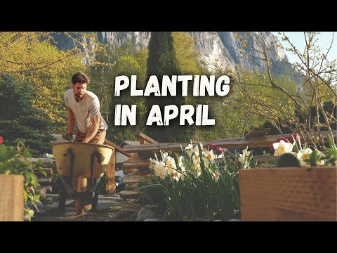 Come with me for 7 Relaxing April Garden Tasks