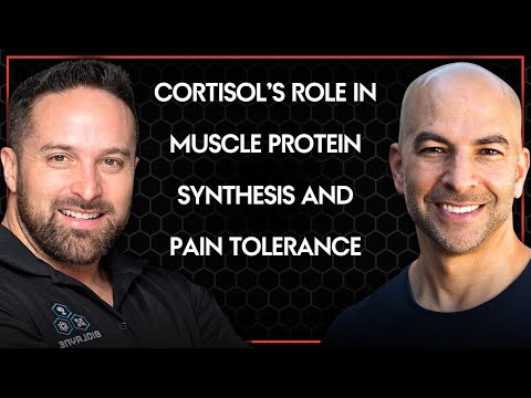 Understanding cortisol: it's role in muscle protein synthesis, pain tolerance, and more