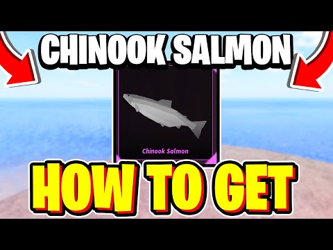 How To CATCH CHINOOK SALMON In Fisch! Roblox (Chinook Salmon Location)