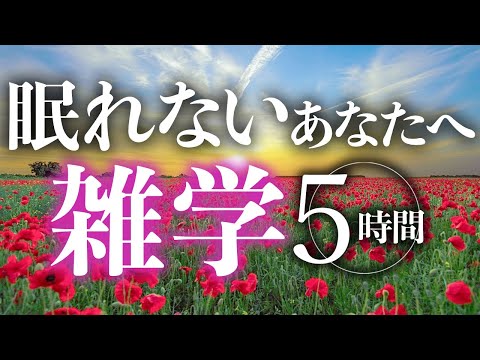 【睡眠導入】眠れないあなたへ雑学5時間【合成音声】