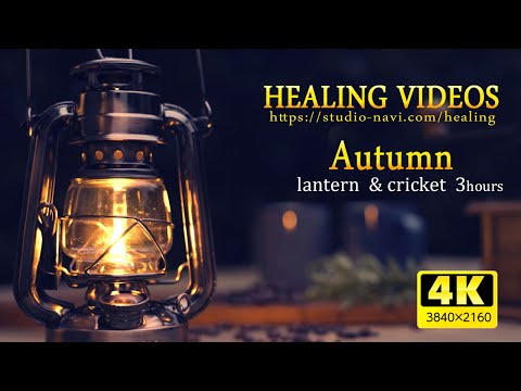 [ASMR / Environmental sounds] The sounds of lantern lights and insects make you feel autumn.