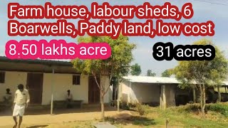 ||Free farm house, Full water, fencing, lease income|| 8.50 lakhs acre || 31 acres ||No-1210