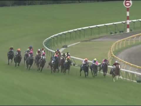 ラインクラフト 2005年 第10回NHKマイルカップ(GI) (優勝馬：ラインクラフト)