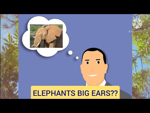 Elephants Big Ears?| (CASE STUDY)| हाथी के कान बड़े होने का कारण?| By Aditya Sharma