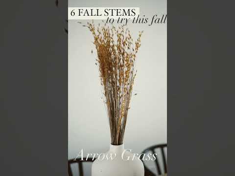 6 Stems to give a try this Fall! #fall #falldecor #decorating #homedecor #fall #floraldesign #decor