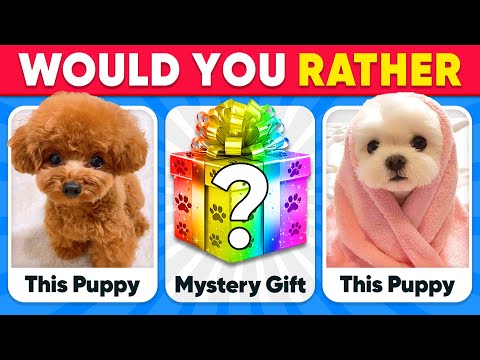 Would You Rather...? MYSTERY Gift 🐶🎁❓ ANIMALS Edition