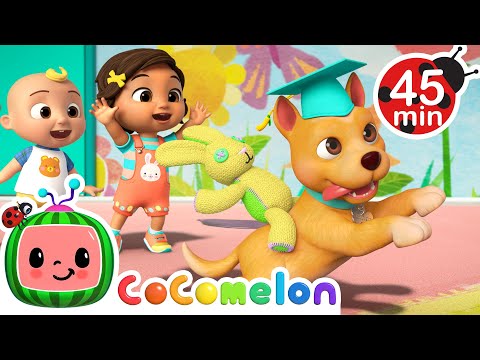 Best of BINGO! | Doggie Daycare & Puppy Play 🐶 + MORE CoComelon Nursery Rhymes & Songs