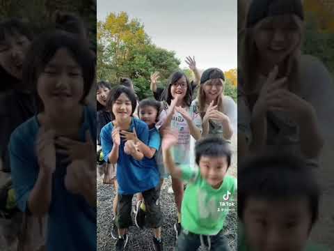 手話が出来る子供達とヨワネハキ♫【TikTok】【難聴うさぎ】