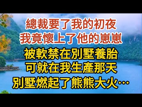 《BB被搶後》第01集：總裁要了我的初夜，我竟懷上了他的崽崽，被軟禁在別墅養胎，可就在我生產那天，別墅燃起了熊熊大火……#婚姻#情感故事#甜寵#故事#小說#霸總