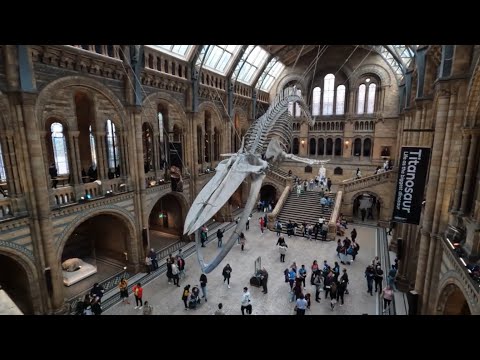 【酷僑專區】跟著海外學生一起環遊世界｜英國｜2024｜Exploring the Nature History Museum