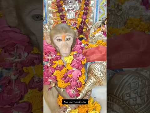 Bajrang Bali padhare dware#youtubeshorts #shorts #song par