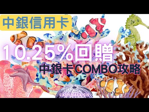 2024 中銀信用卡10.25%回贈終極攻略(附中文字幕) | HKCashBack 姐 #中銀信用卡 #信用卡優惠 #中銀狂賞派